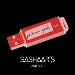 Patakha Guddi (Sashaar Remix) | Sashaar's USB v1