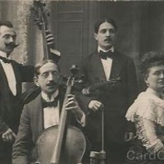 String Troubadour
