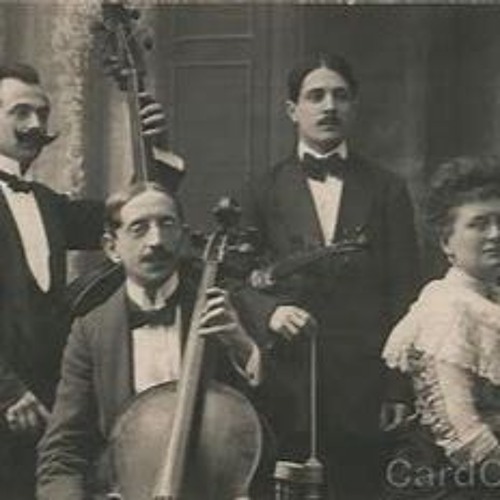 String Troubadour