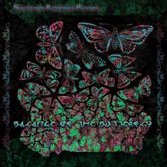 Balance of the butterfly