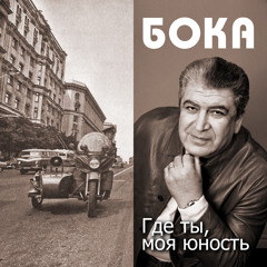 Безумно я люблю