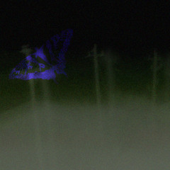 can't feel my own blood (springlocked)