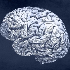 Neurotrainer