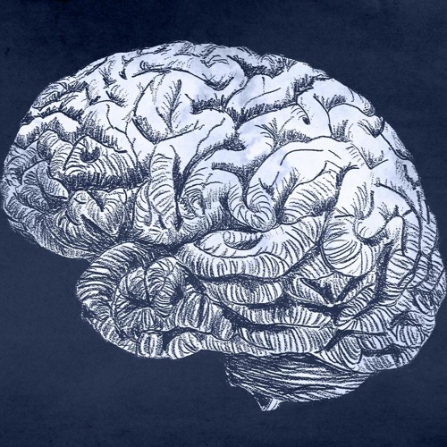 Neurotrainer