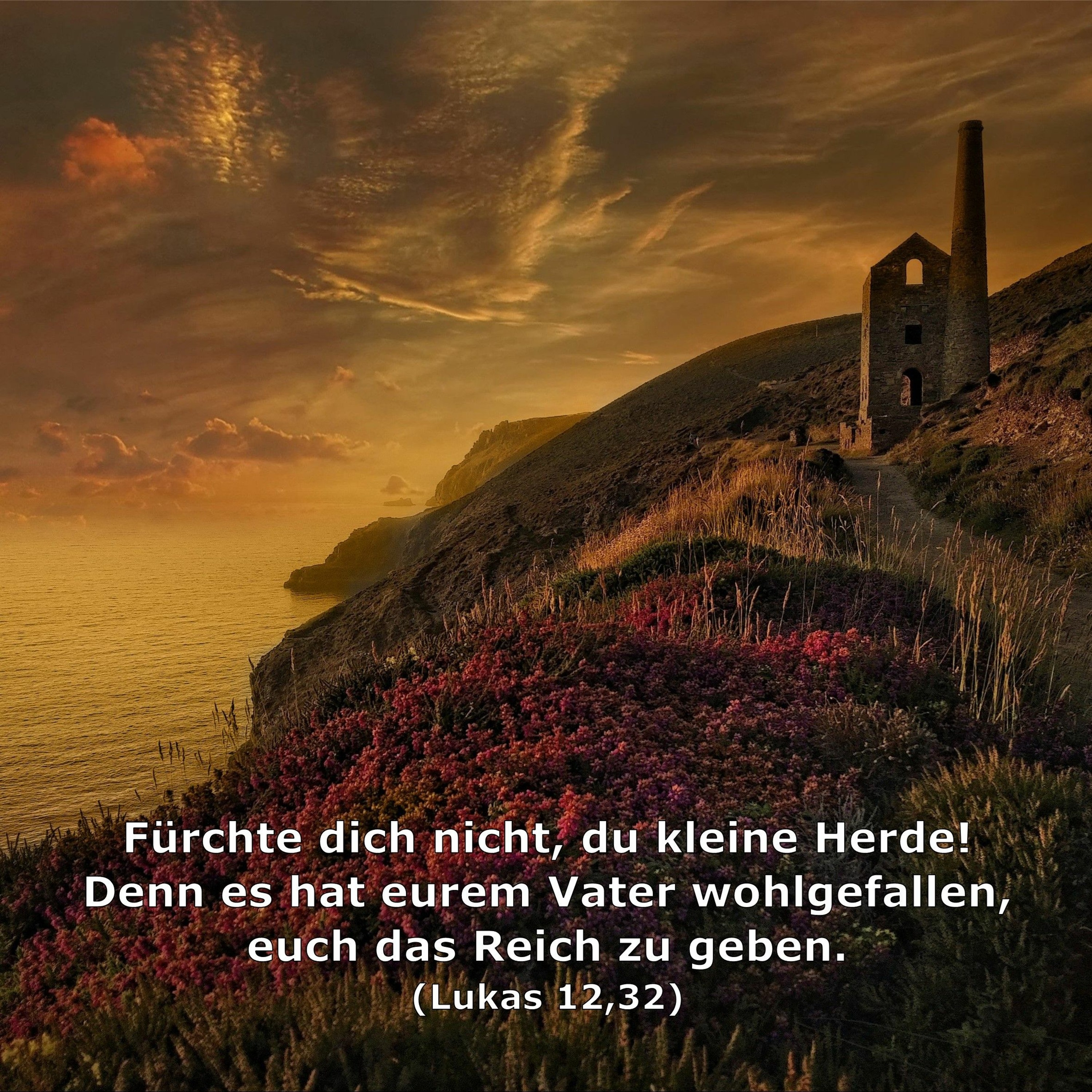 In einem Jahr durch die Bibel