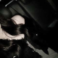 初心 p.ymxk×VetteBoy