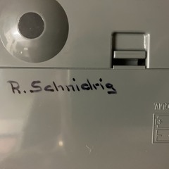 25jan2025: schlafen mit dem omnichord