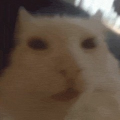 AC S2 E11: Alien Cat