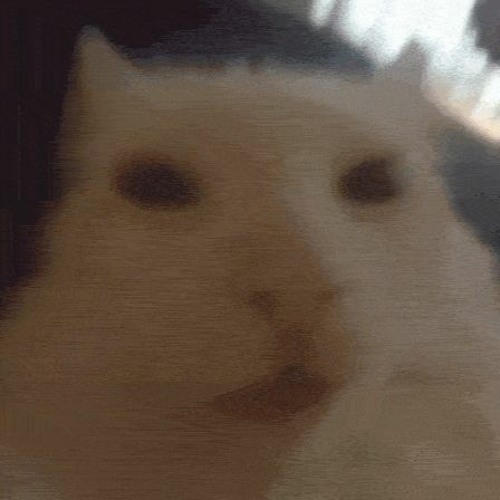 AC S2 E11: Alien Cat