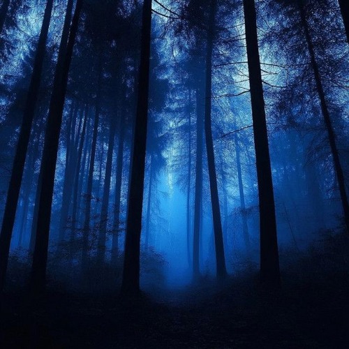 OLDFLOP x LOSTMANE - through the dark