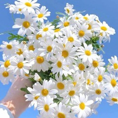 هو إحنا فين ..