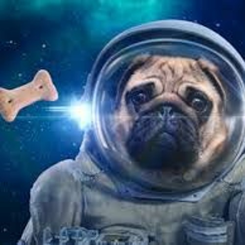 MiT MoPsGeSChwiNdiGkEiT durchs ALL Thx for 500 Follower🙏🏼🙏🏼