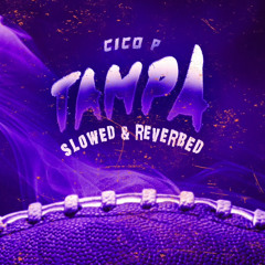Cico P Tampa~(Slowed+Reverb)
