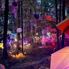 Zauberwald 2024 guido.m b2b Paul Panther