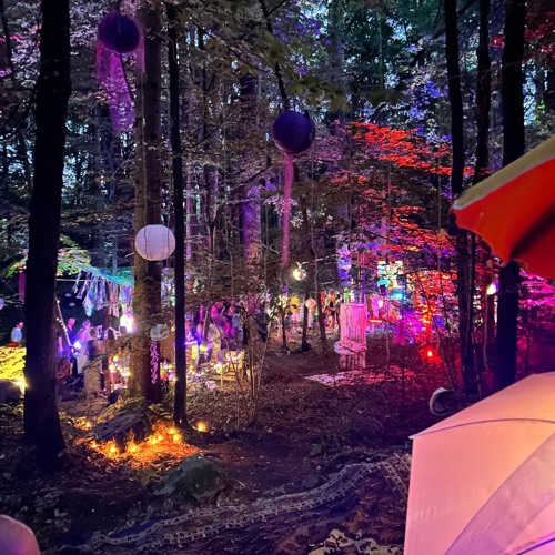 Zauberwald 2024 guido.m b2b Paul Panther