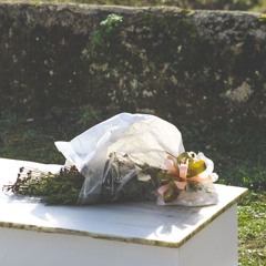 Last Farewell