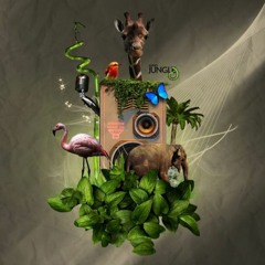 Cover Show Jungle Music 28/08/2023
