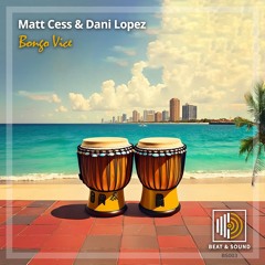 Matt Cess & Dani Lopez - Bongo Vice (Original Mix)