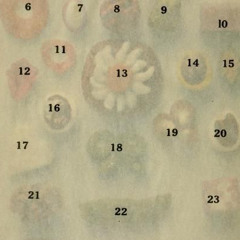 새소년 눈 COVER 1/2