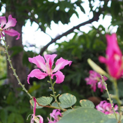 after new year  --- gabageboi