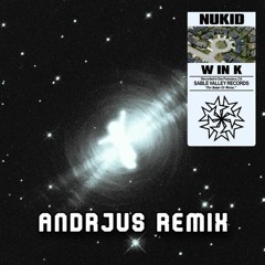 W IN K - NUKID (ANDRJUS Remix)