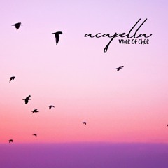 *FREE DOWNLOAD* DRY Acapella Kit (STEREO )for your creation!