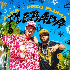 El Alfa, Peso Pluma - Plebada (Flow Music Latin Mashup) (115-130)