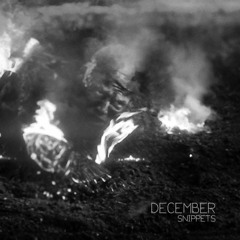 #4 December Snippets w/Soudiere, Rare0000, Jetpacc, Nunu, Gloop, Kamiya
