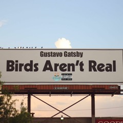 Gustavo Gatsby - "Birds Aren't Real" [Song 24]