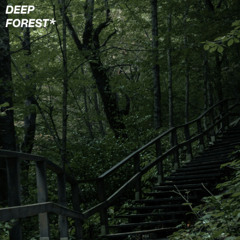 HEVNFYRE - DEEP FOREST