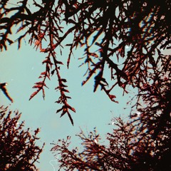 More Than Just A Name (prod. Fredricch)