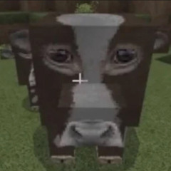 afterglow  - 8:21:25, 3.07 AM