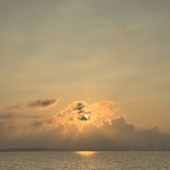 Nemui
