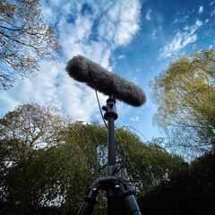 Dawn Chorus Day 2021 [Full Version]