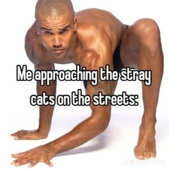 👾🫧CrAZy Ahh 🔥🎉💣❗️