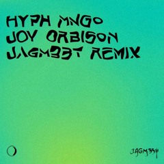Joy Orbison - Hyph Mngo (JAGM33T Remix)