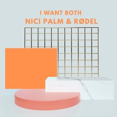 PREMIERE : Nici Palm & Rødel - I Want Both (Fausto Remix) (Paradise Palms Records)