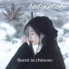 fluent in chinese