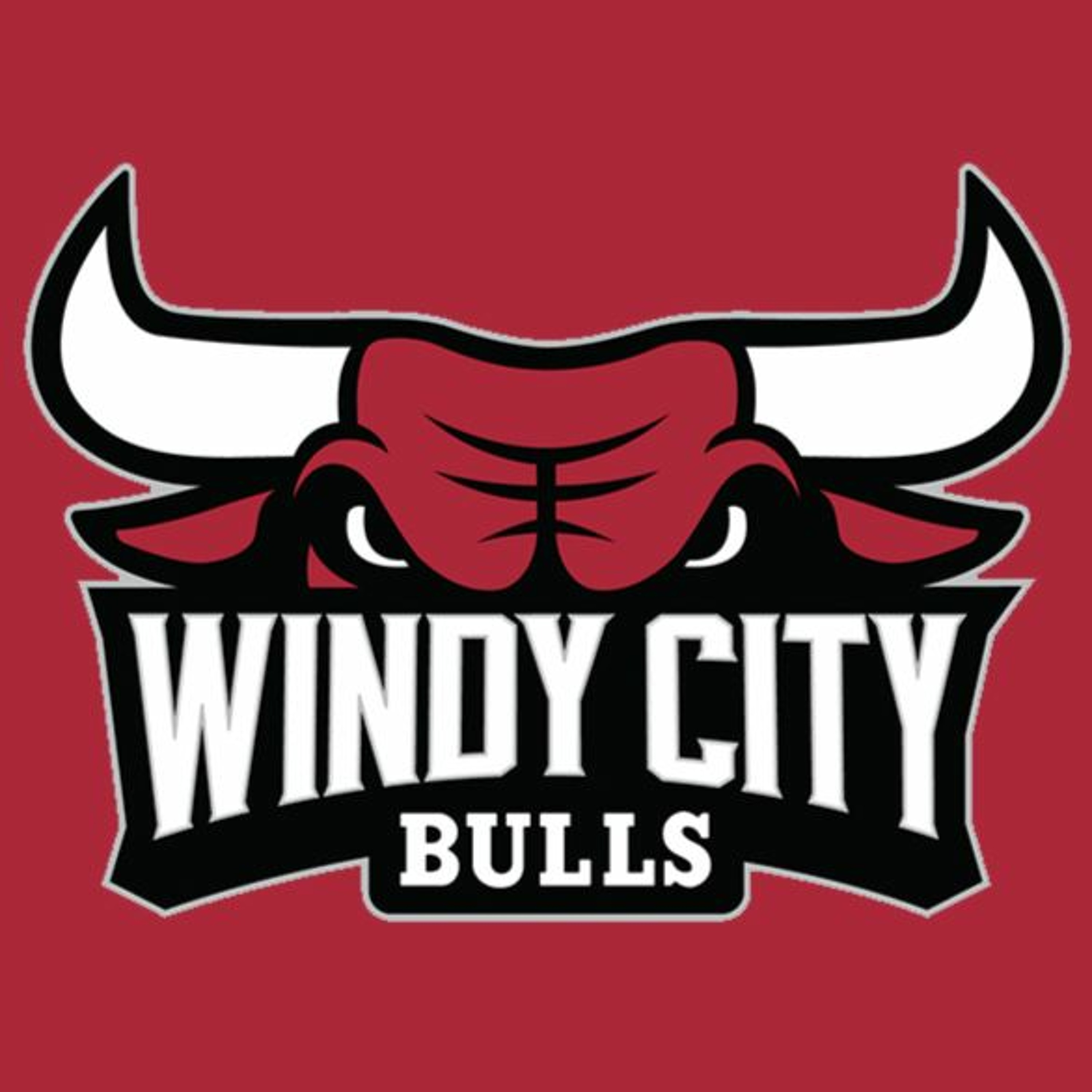 Radio Play-by-Play: Windy City Bulls vs. Motor City Cruise episode artwork