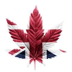 thanksgiving mix #kbp #2k25