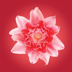 True Strength - Sacred Sting Practice