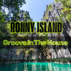 GROOVE IN THE HOUSE MIX