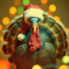 Not Yet December (Thanksgiving's Here)