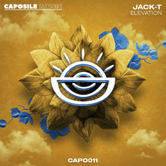 Jack-T - Arp Express [CLIP]