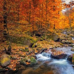 on one in october - gunna x girl in red