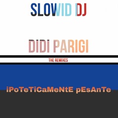 Slowid Dj & Didi Parigi - Ipoteticamente Pesante (Jerry Dj Ipoteticamente Melodico Mix)