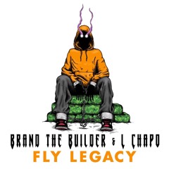 Fly Legacy