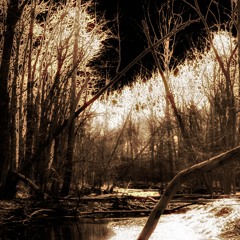 241223 - Requiem For The Undead