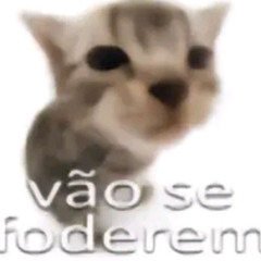 BRUXARIA DJ GENERICO DA SILVA - MC's Koruja & India (DJ Kirin)