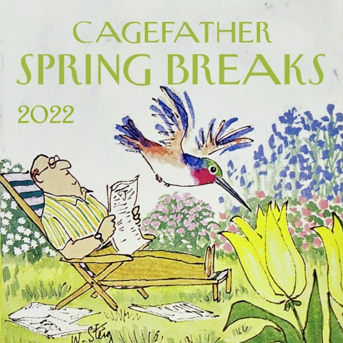 Spring Breaks 2022 / 1